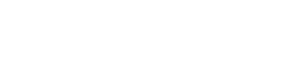 LIONSPORT logo